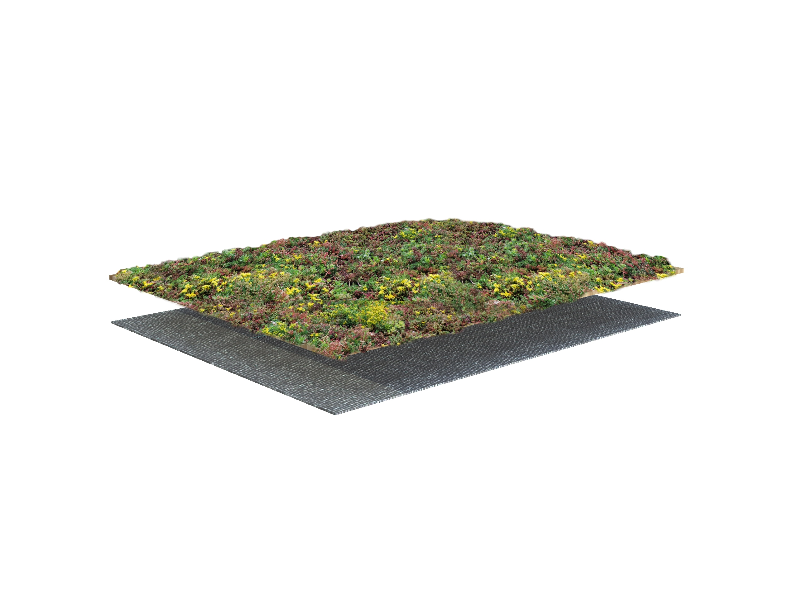 Slope with Sedum-mix blanket – system structure