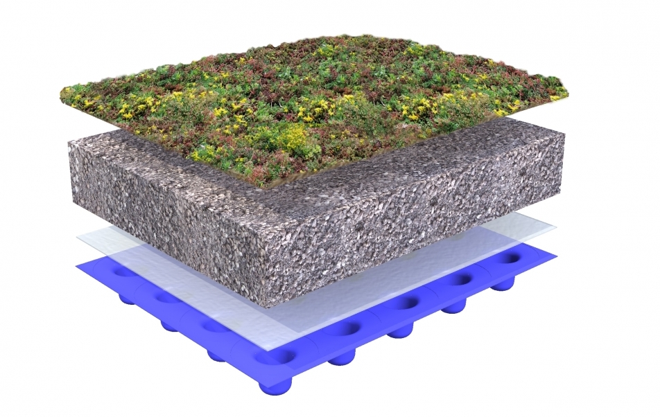 绿色屋顶系统结构——带景天植物的平坦屋顶 