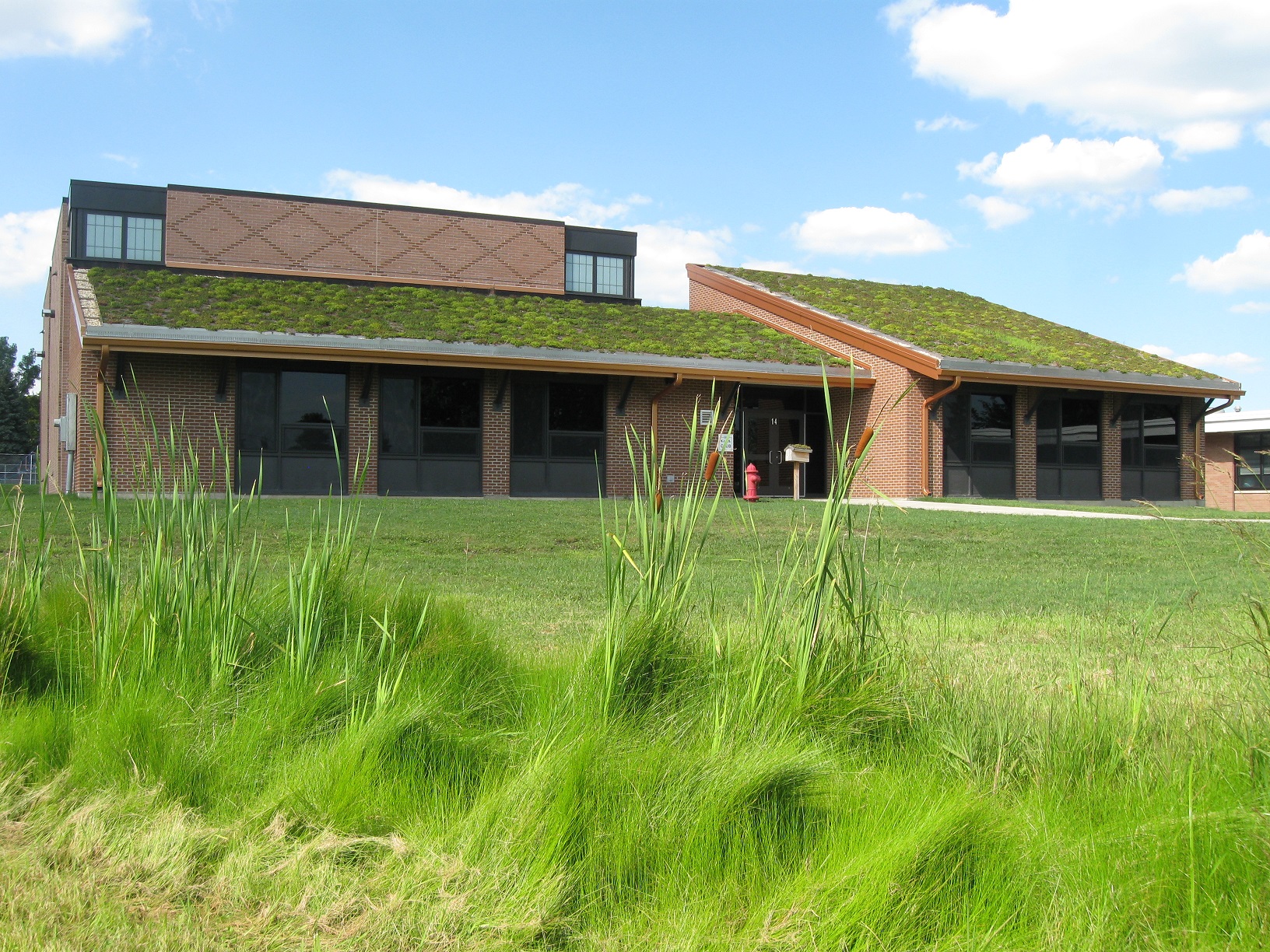 Steeply pitched green roof