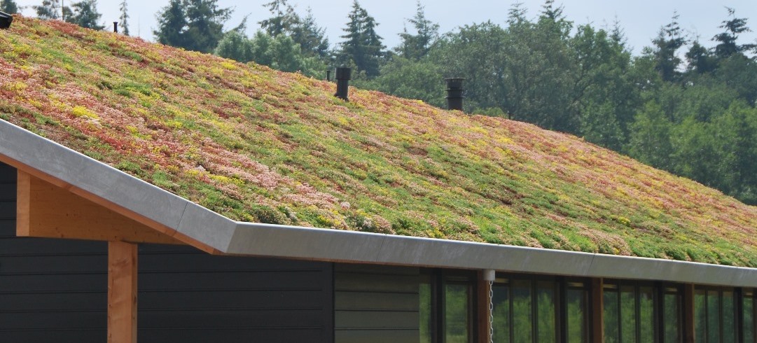 Fördelar gröna tak
