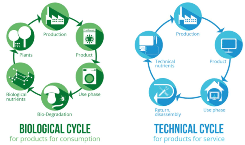 Le cycle biologique et technique