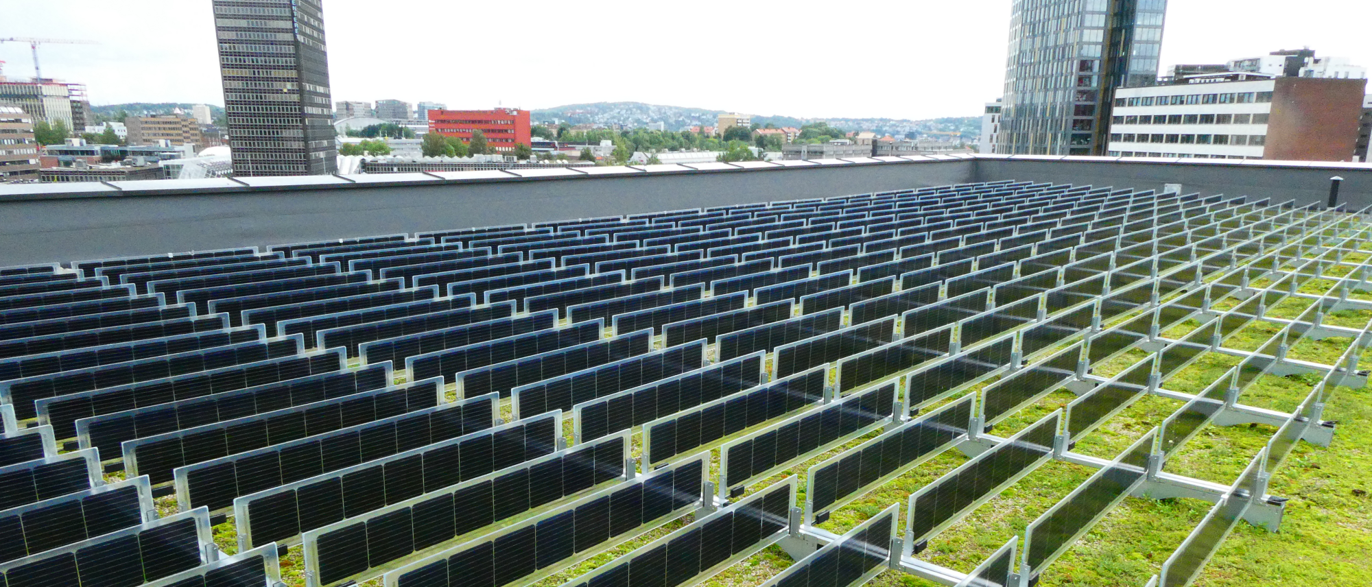 Green roof with vertical bifacial solar panels