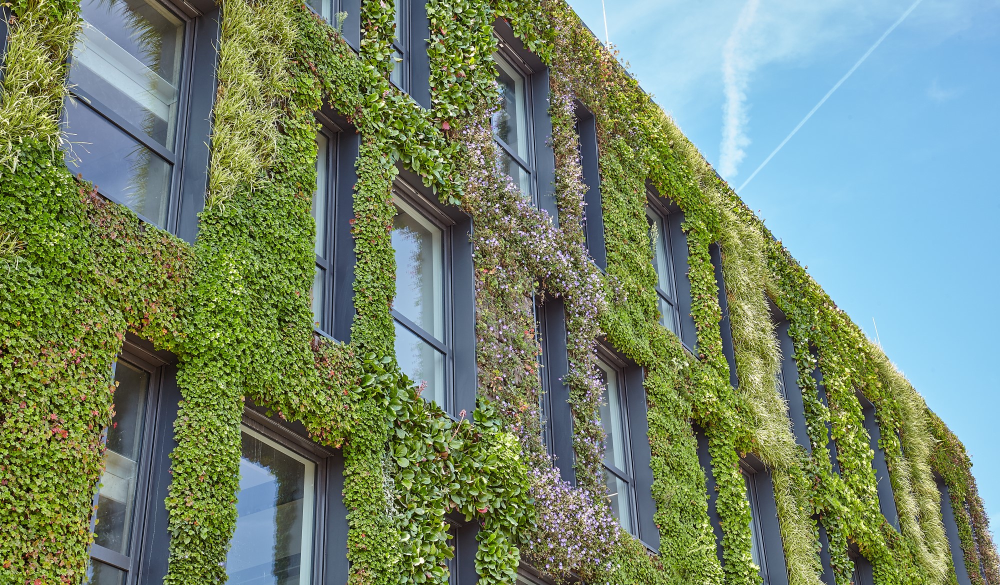 Office building with living wall