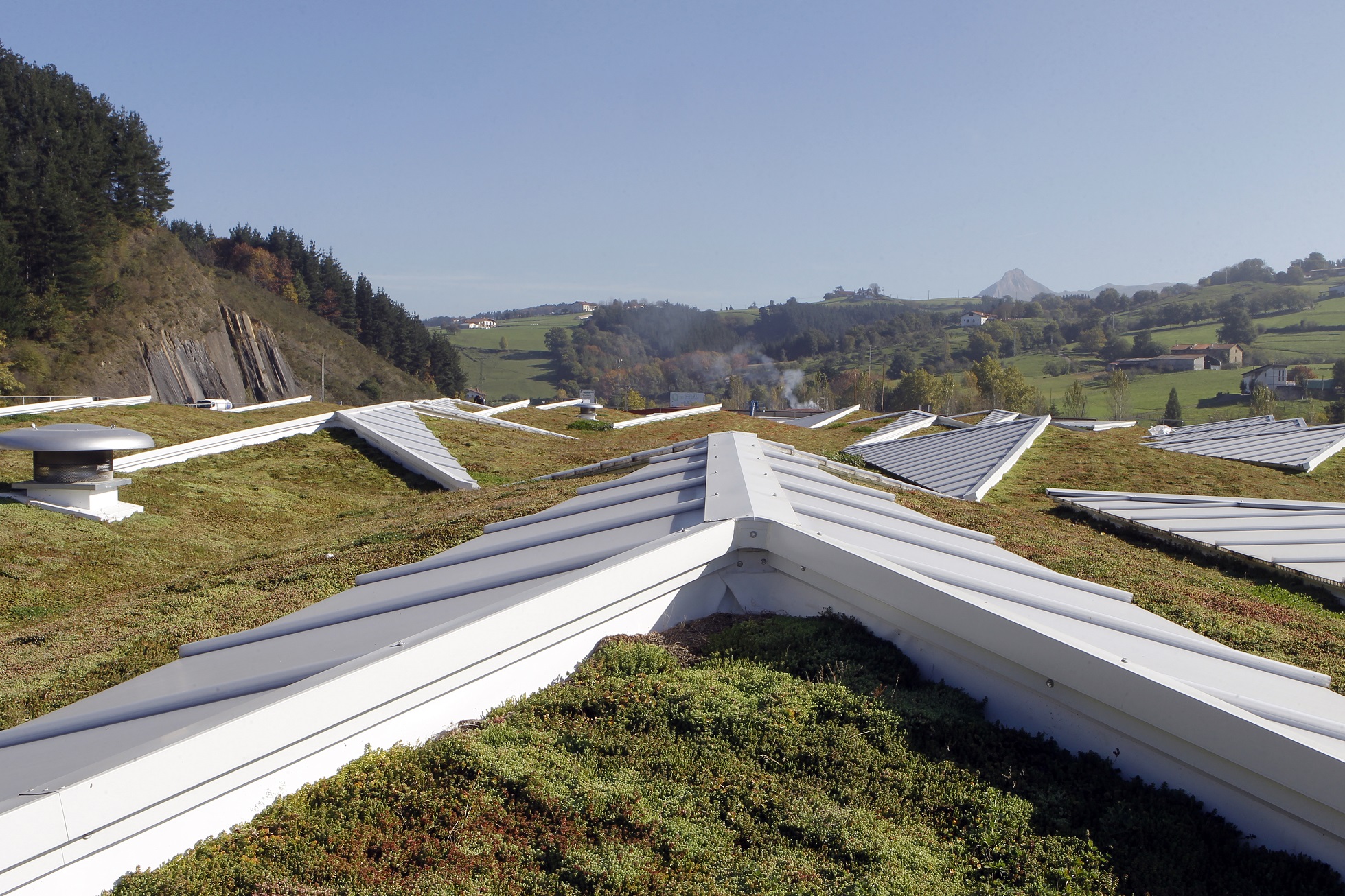 The green roof is part of AMPO's sustainabilty strategy