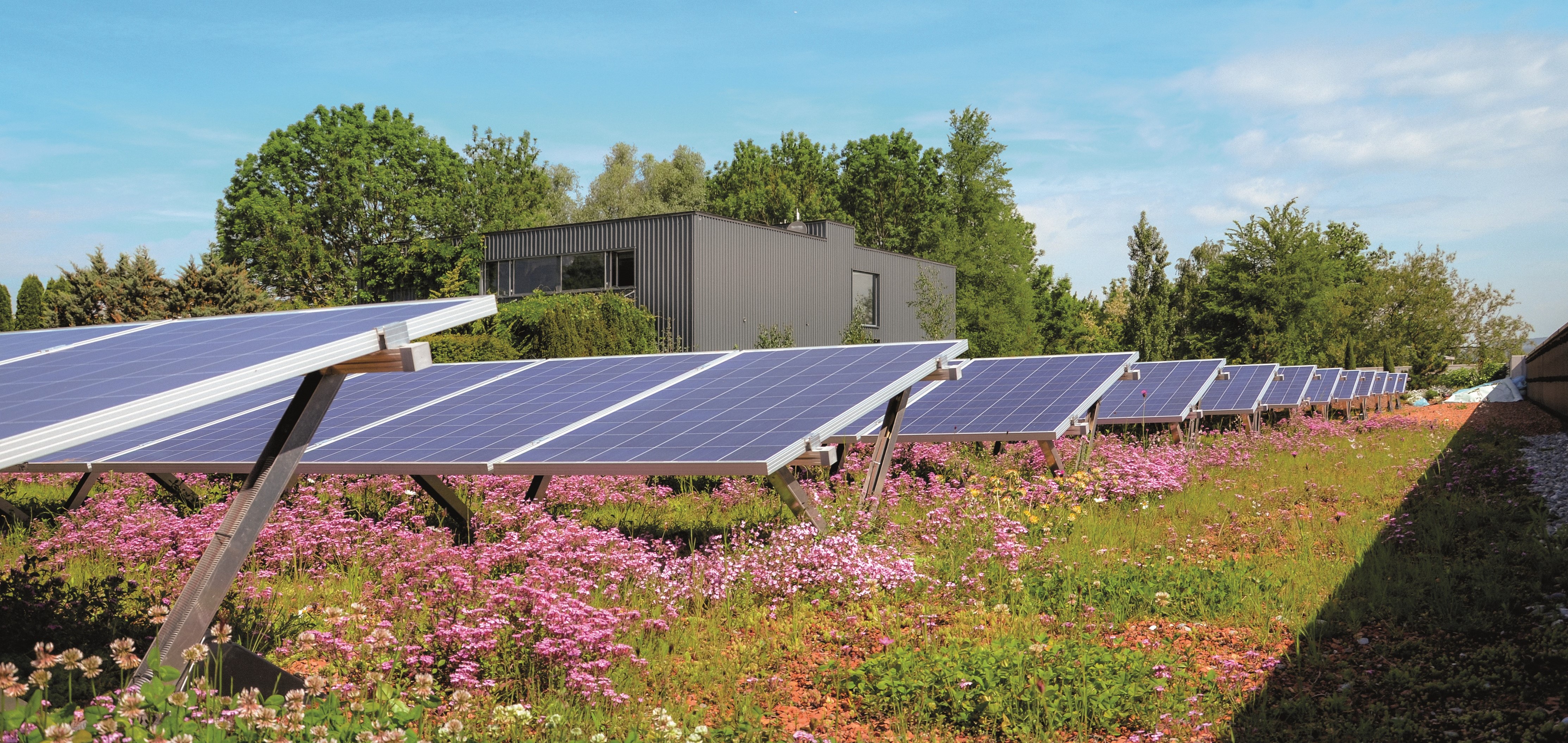 Solargründach: Dachbegrünung mit verschiedenen Pflanzen und Solarmodulen
