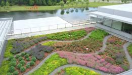 Green roof for landscape architects