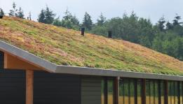 Green roof for trading companies