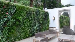 Mur végétal pour les jardiniers paysagistes