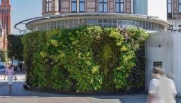 Mur végétal pour les instances publiques