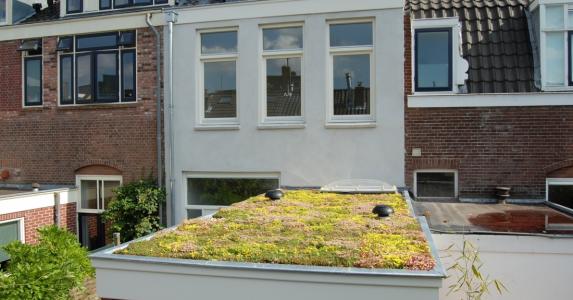 Green roof for consumers