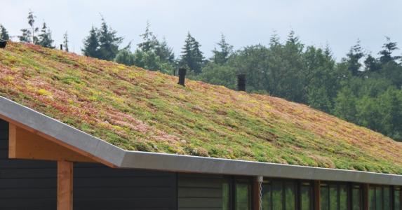 Green roof for trading companies