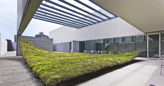 Grüne Bodenbedeckung für Architekten