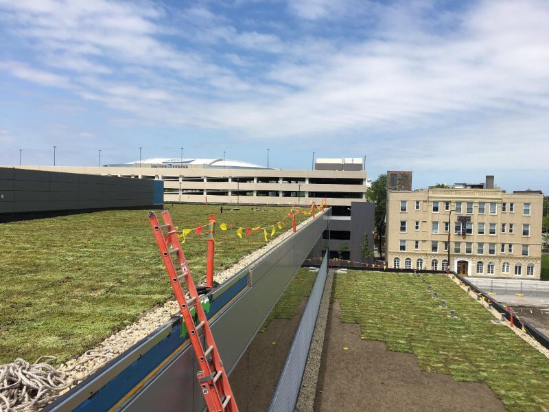 Green roof with Sedum mats