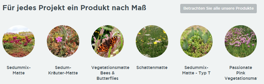 Betrachten Sie all unsere Produkte