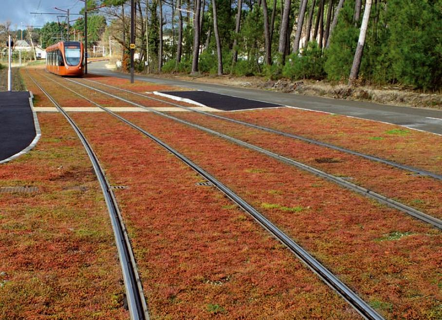 Anwendung von Bodenbedeckung für Infrastruktur