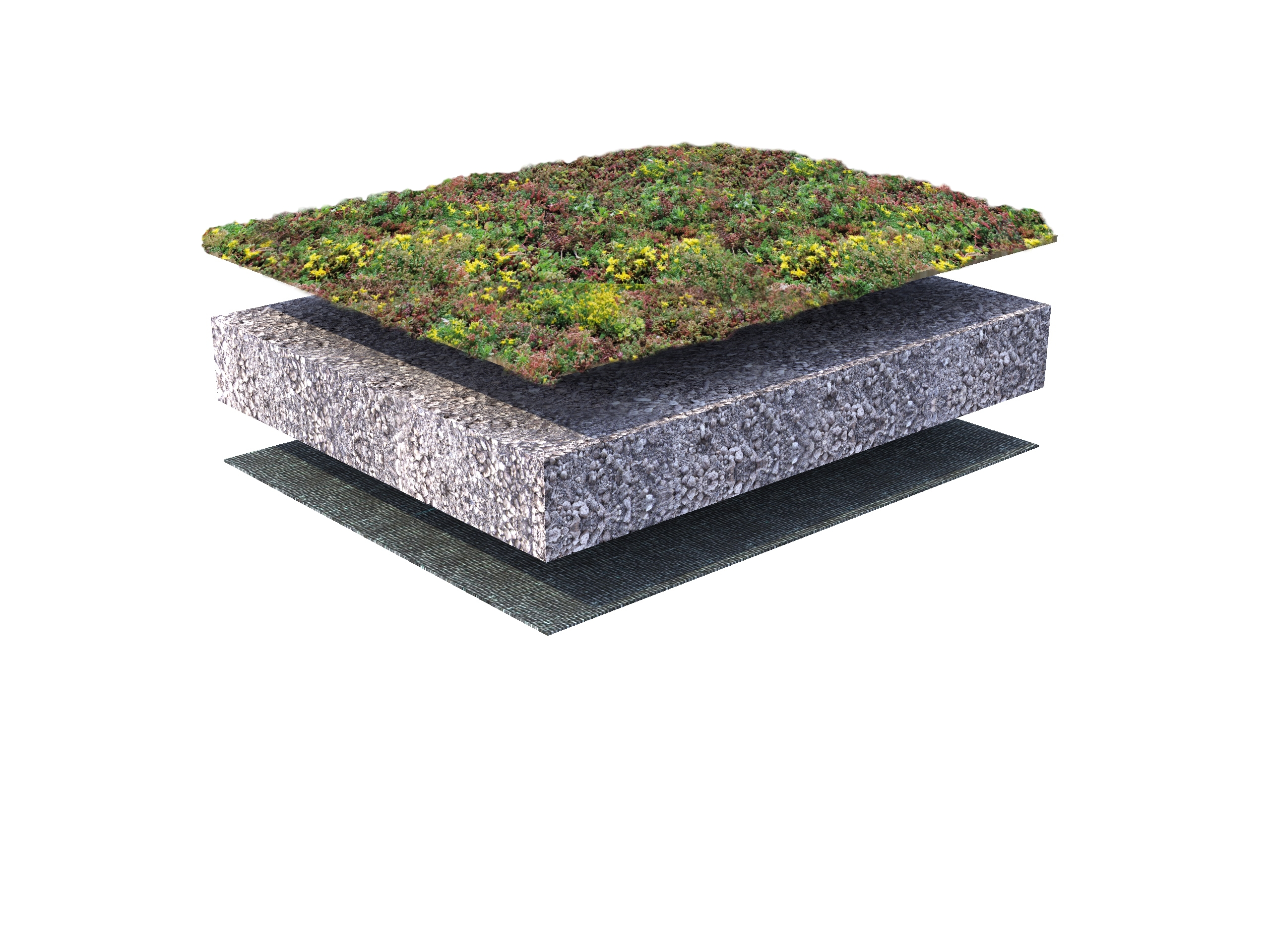 Copertura in Sedum per terreni drenanti