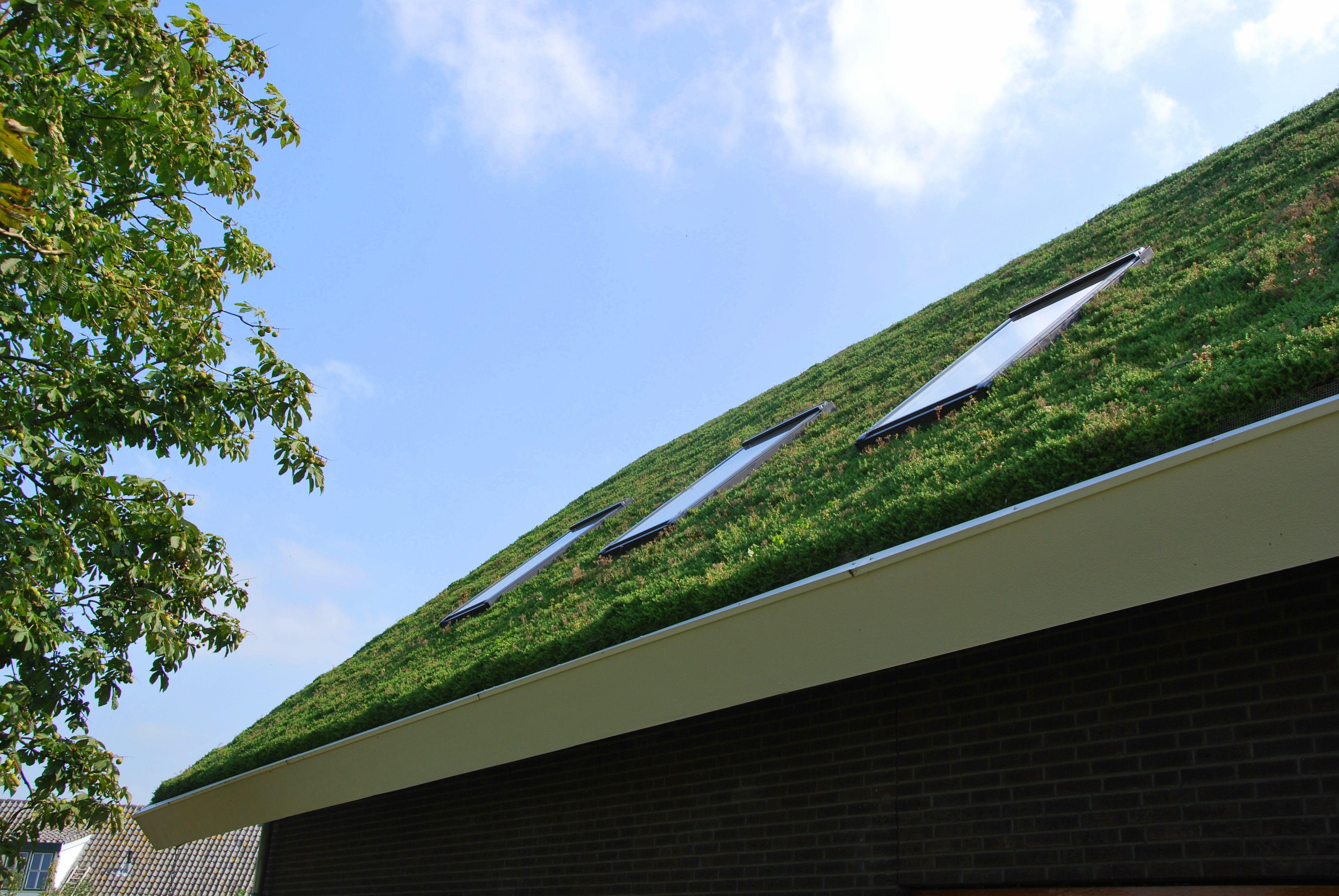 steeply pitched green roof