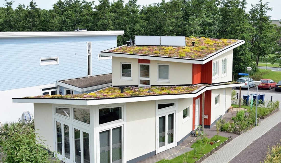 Shallow pitched green roof with Sedum 5-25°