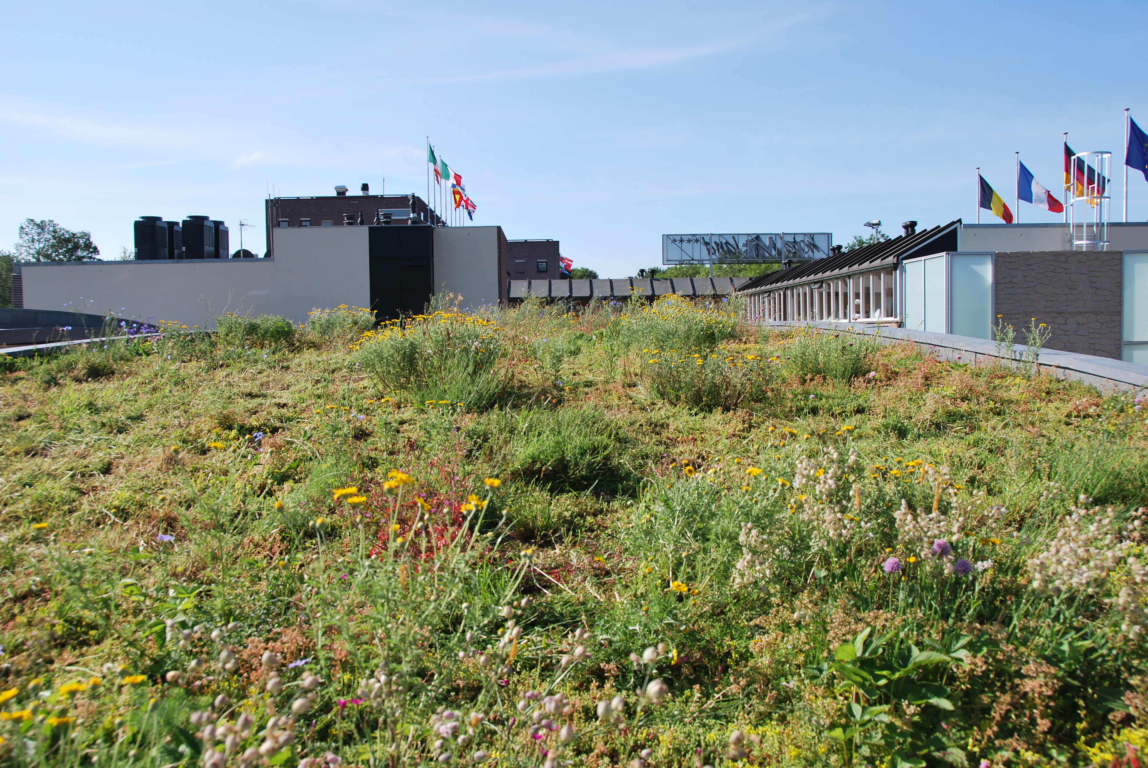 Biodiverse green roof 0-15°