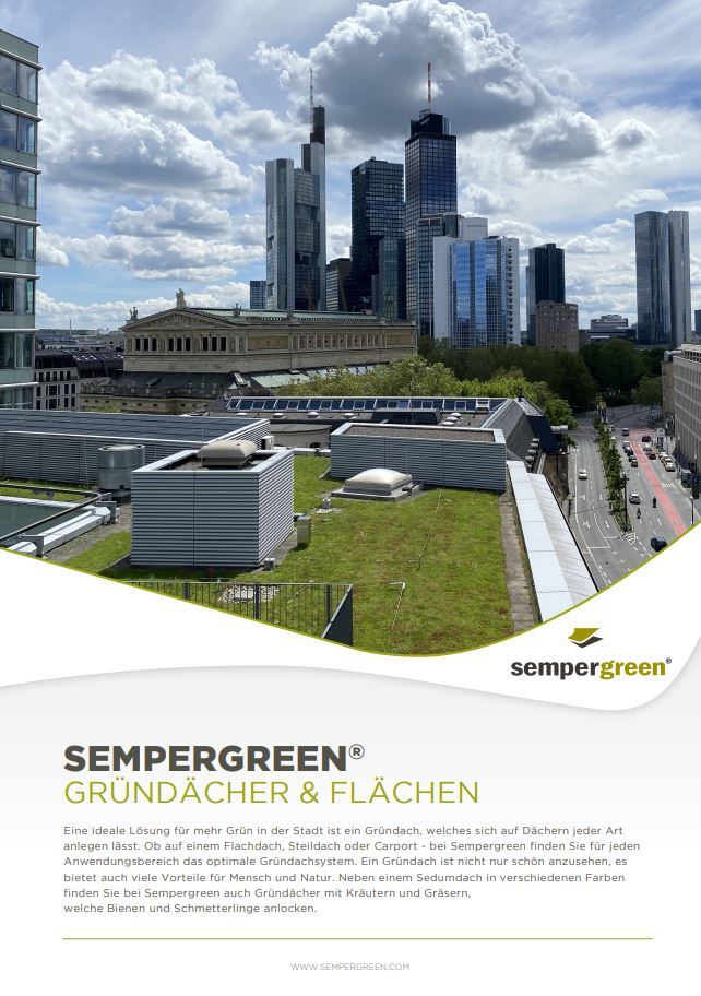 Mini-Architektenmappe Sempergreen