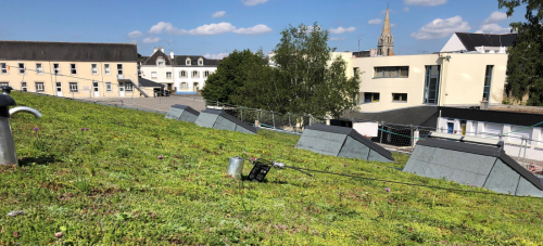 Produits pour toit végétal