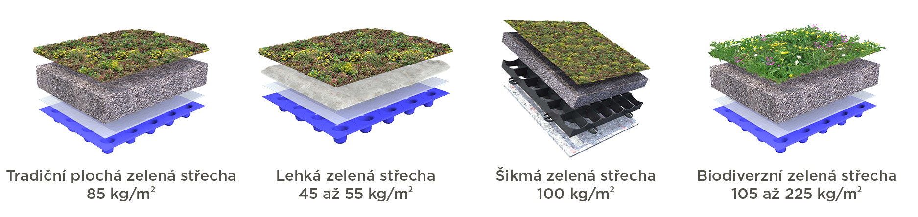 Několik nabízených skladeb zelených střech Sempergreen