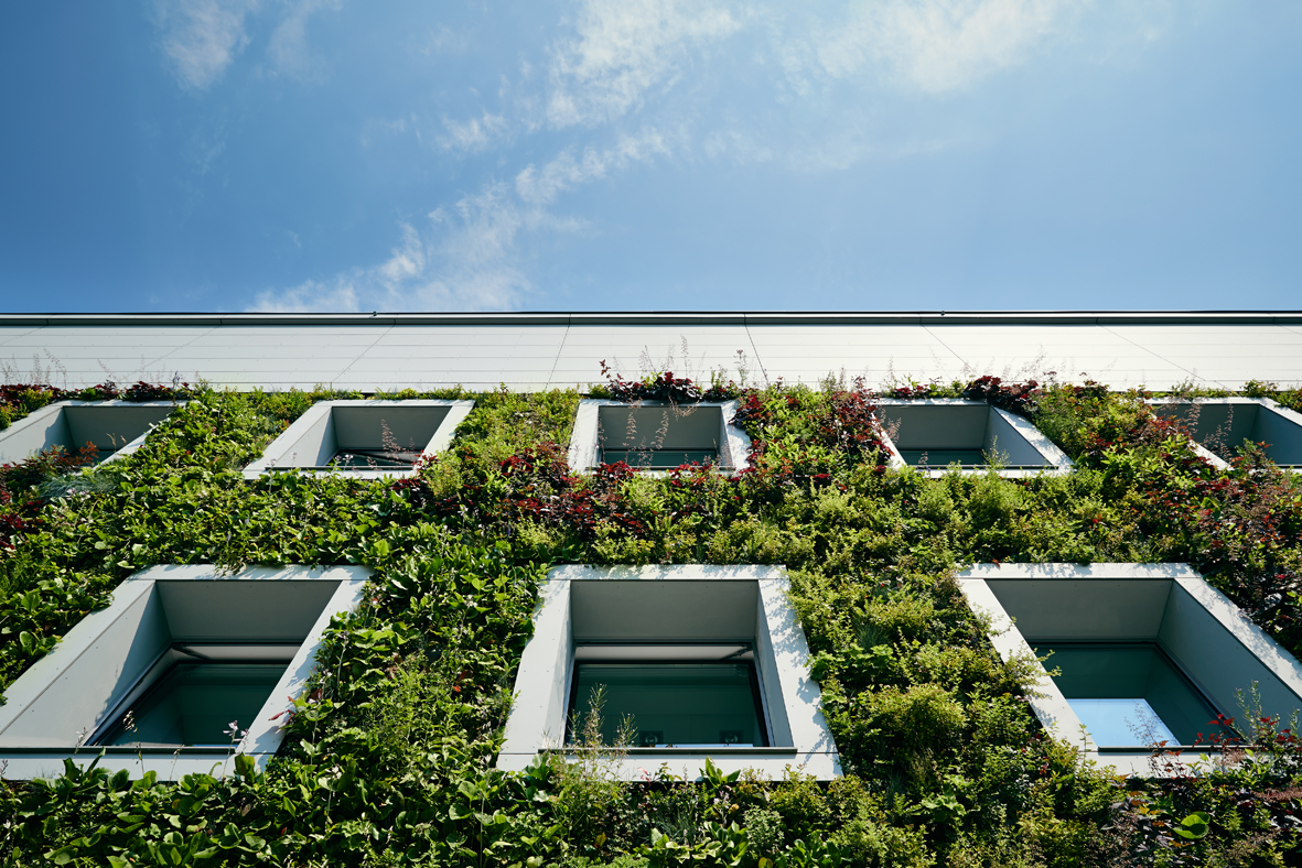 Groene gevel op FNP-gebouw，波兰Warschau