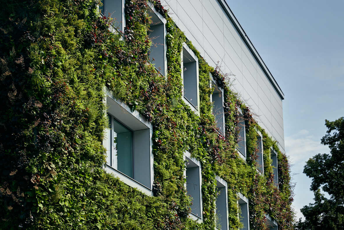 Mur végétal pour façades extérieures