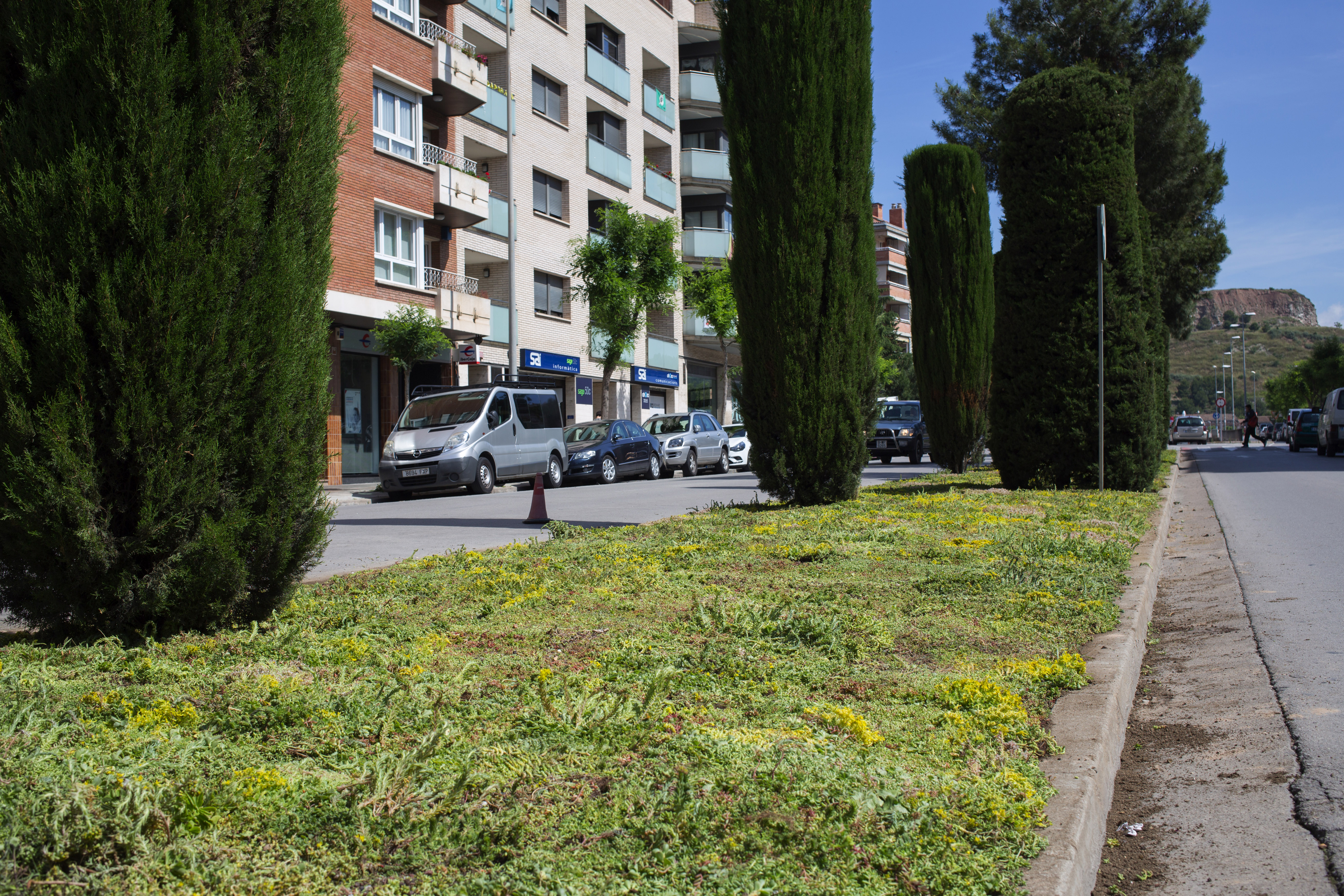 Groundcover Igualada