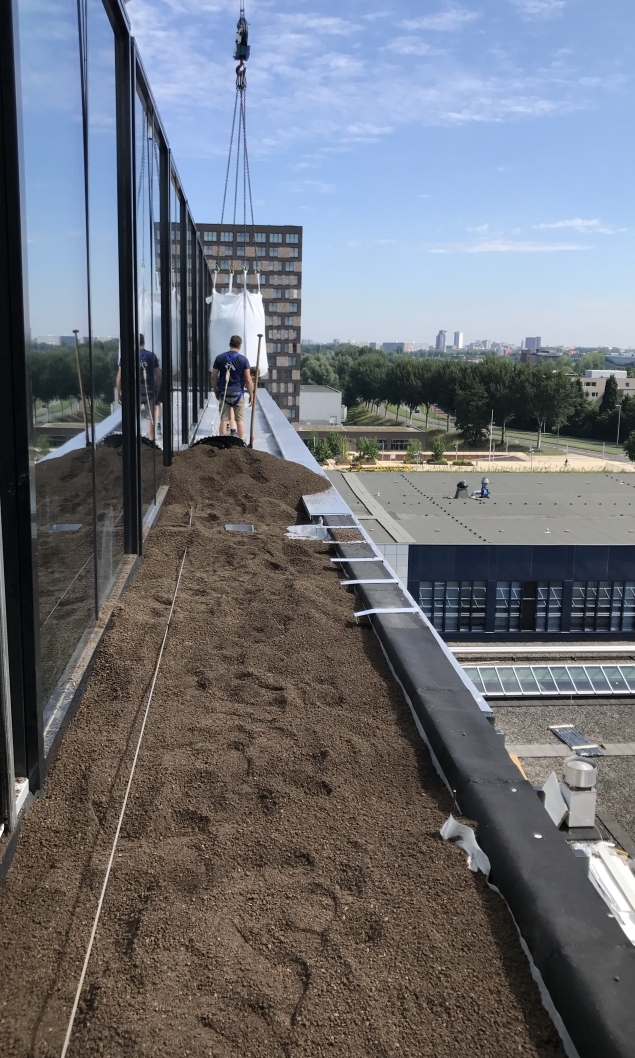 Groendak Hogeschool Rotterdam