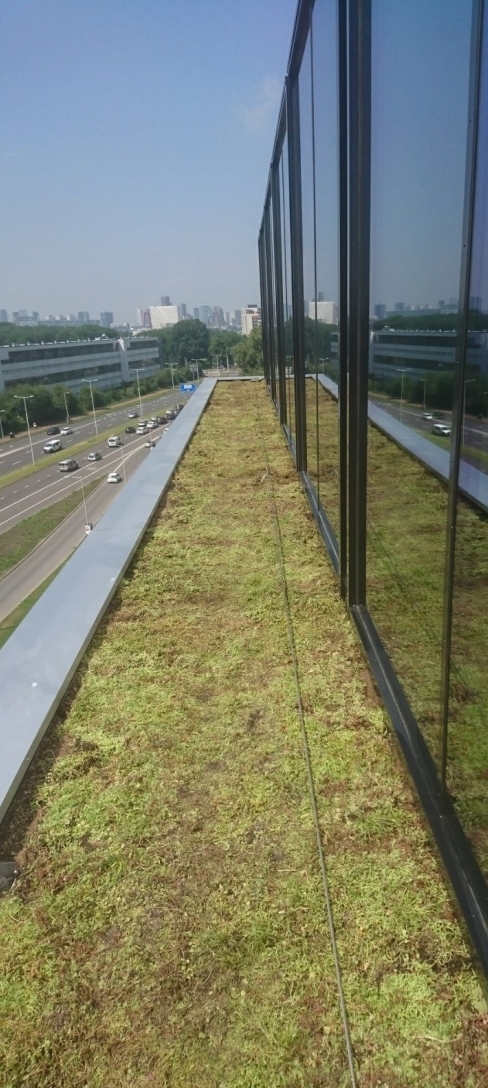 Groendak Hogeschool Rotterdam