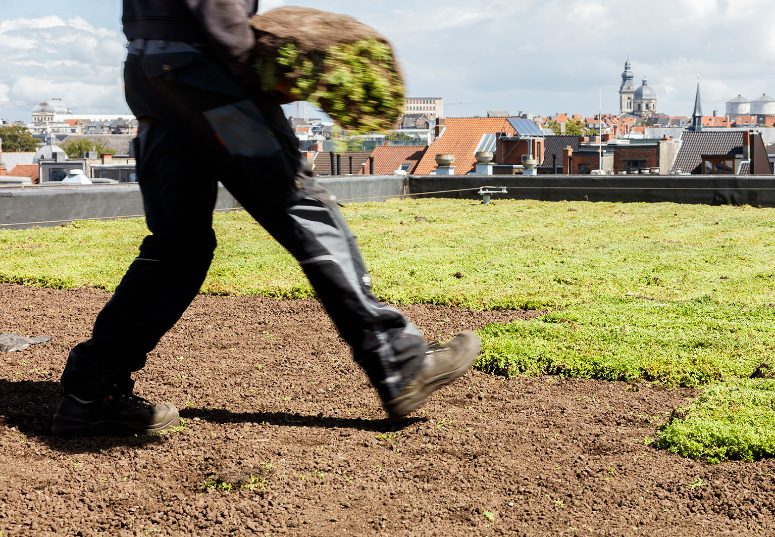 De installatie van een groendak met vegetatiematten