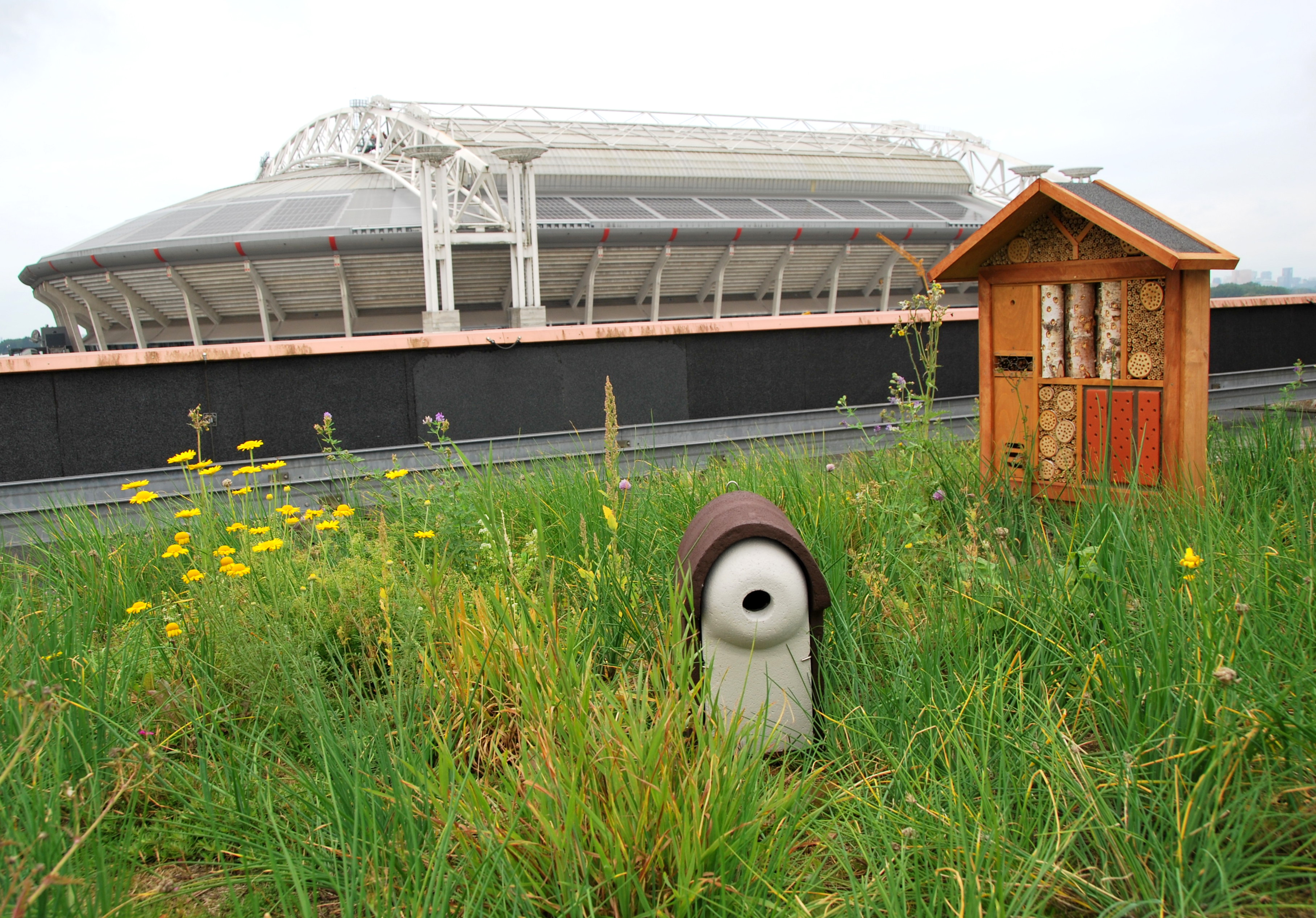 Groen vogeldak met nestkast en insectenhotel