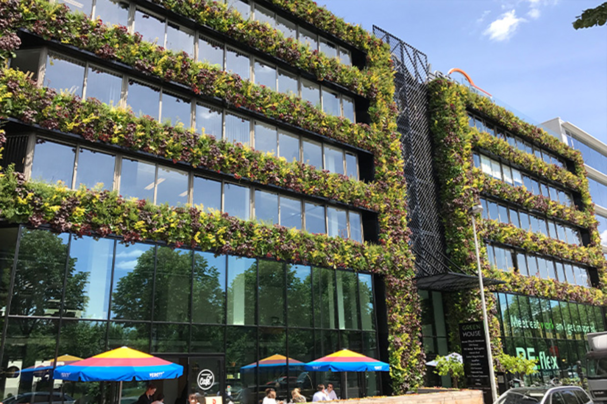 Green renovation in Antwerp, Belgium 