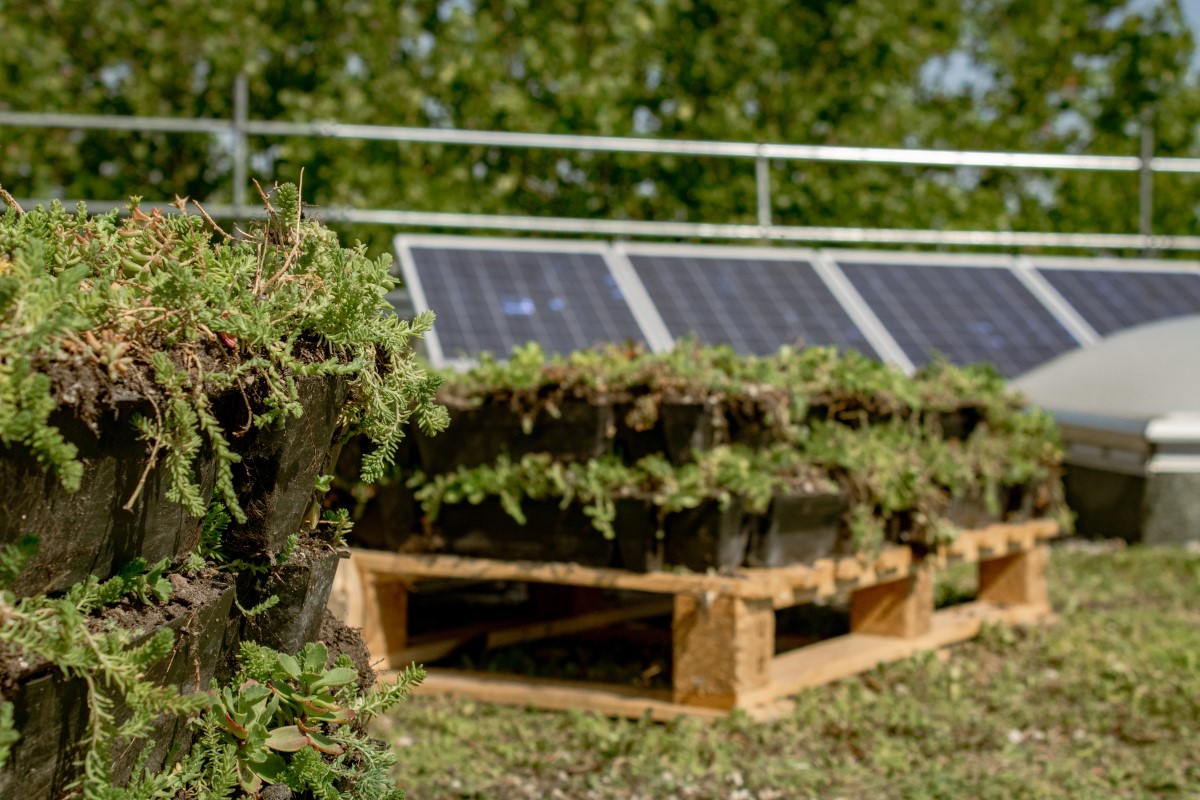 Sanierung des Rathauses in Mörfelden-Walldorf (© Firma Kolb)