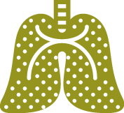 Purificazione dell'aria