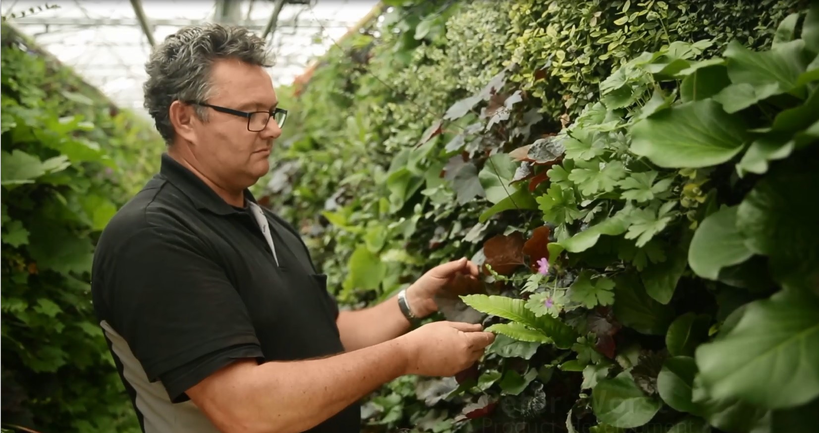 Sempergreen Plant Expert Peter Worst