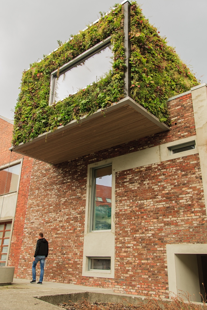 Outdoor SemperGreenwall in cold climate