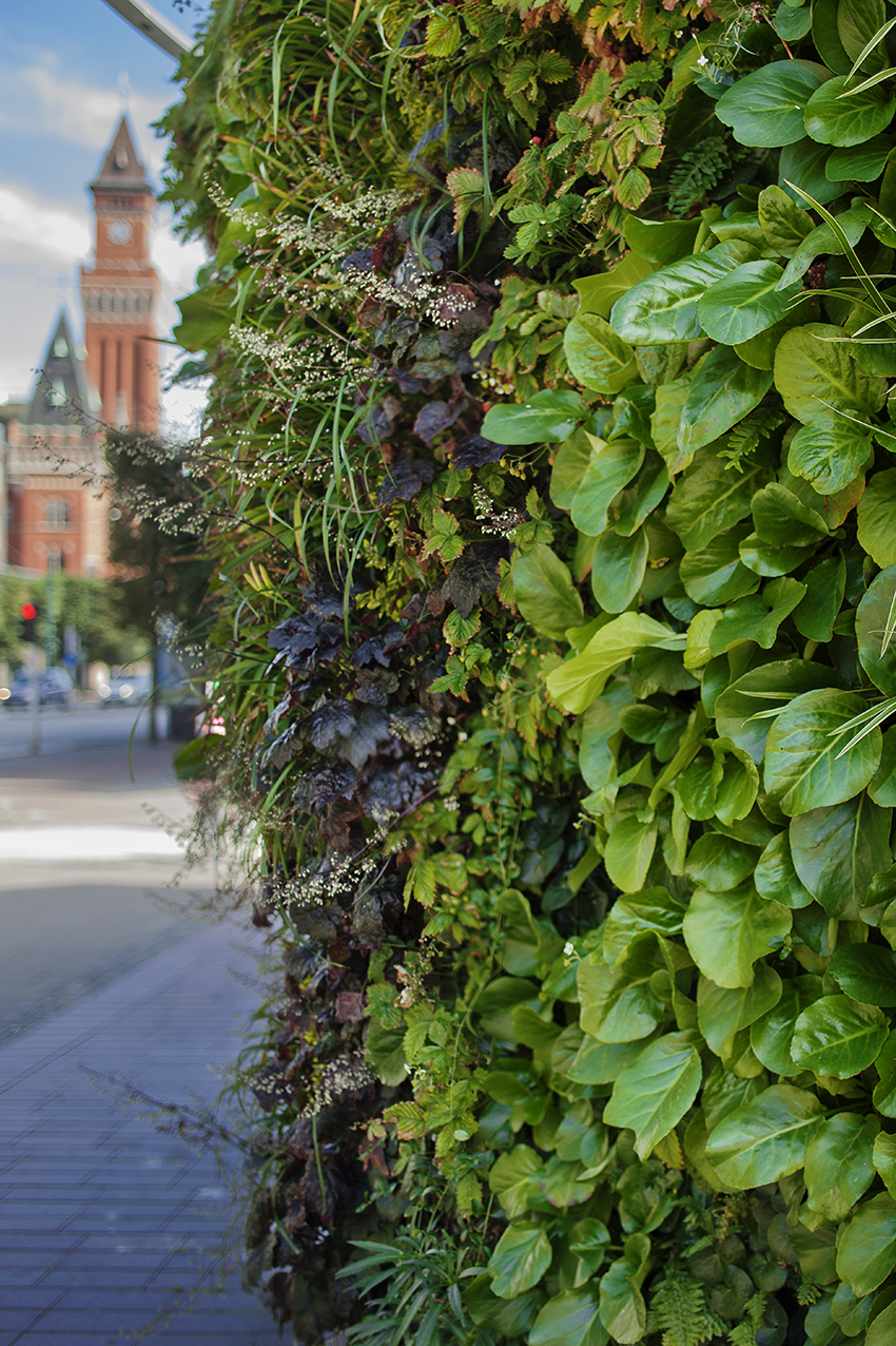 Outdoor living wall in cold climate