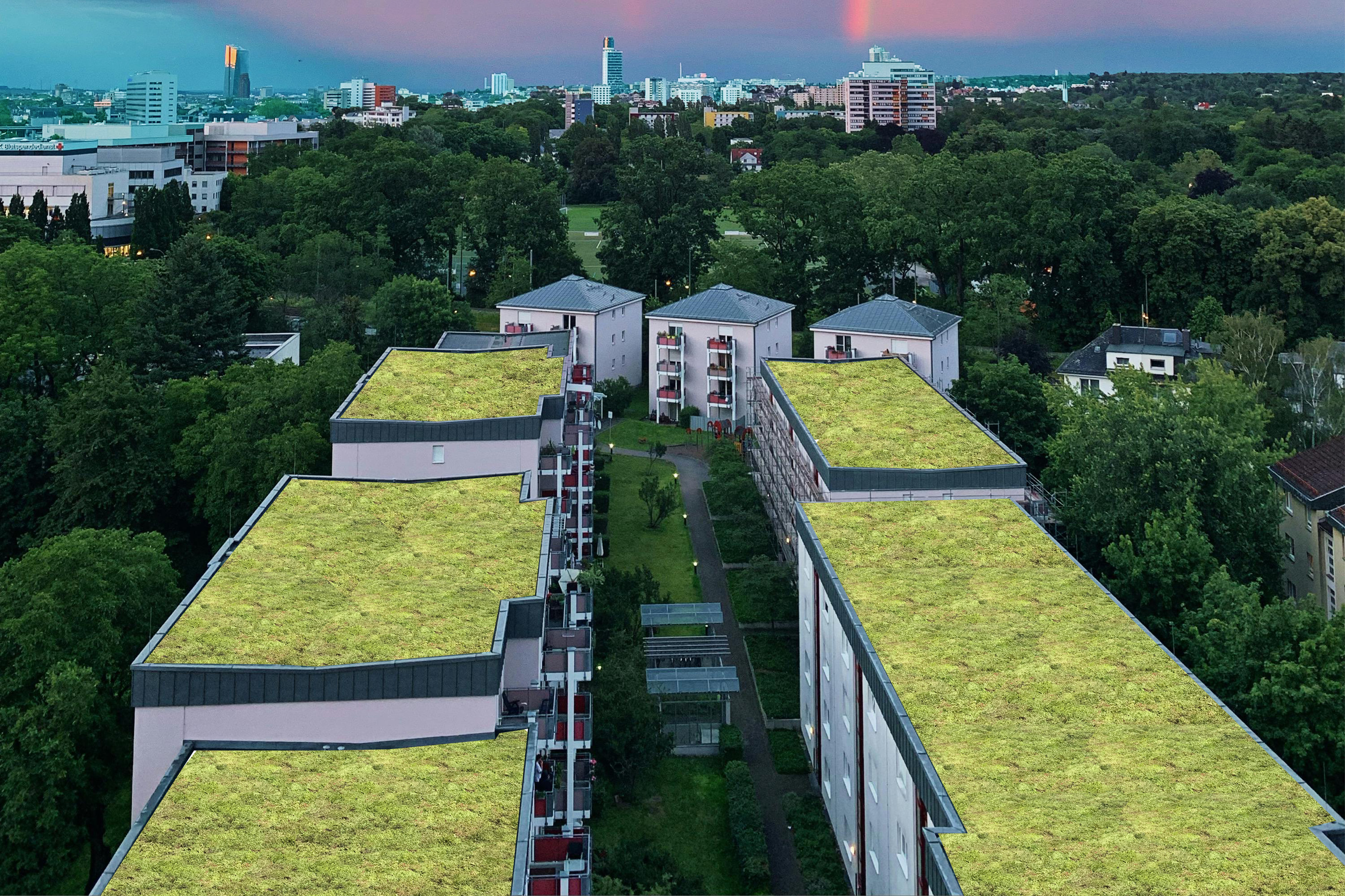Projectvisualisatie met groendak voorbeeld - na