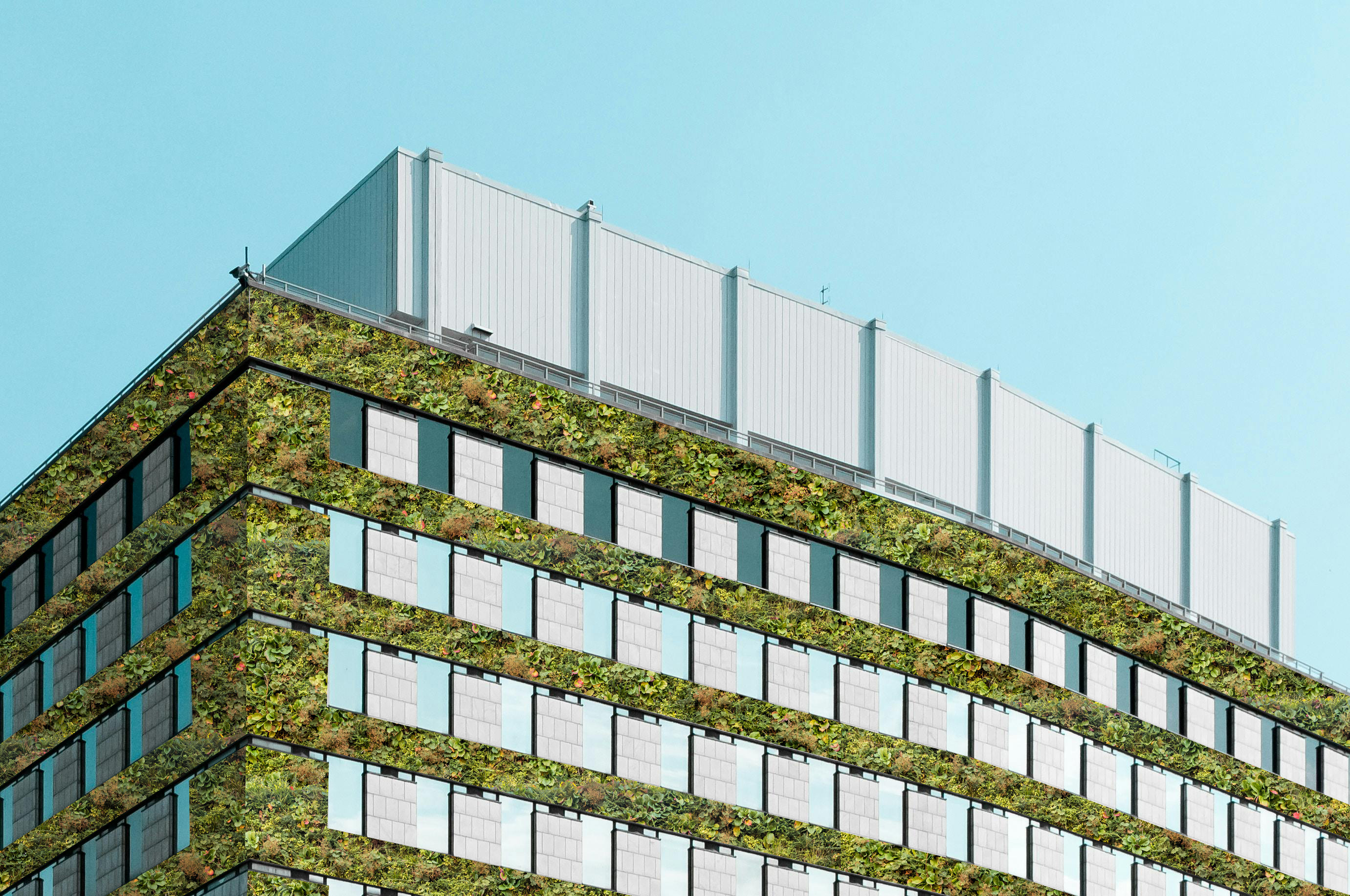 Projectvisualisatie met SemperGreenwall voorbeeld - na