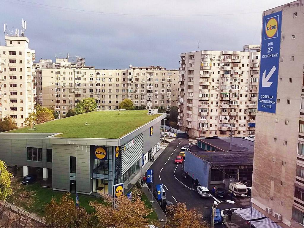 Zielony dach w Lidl Constanta