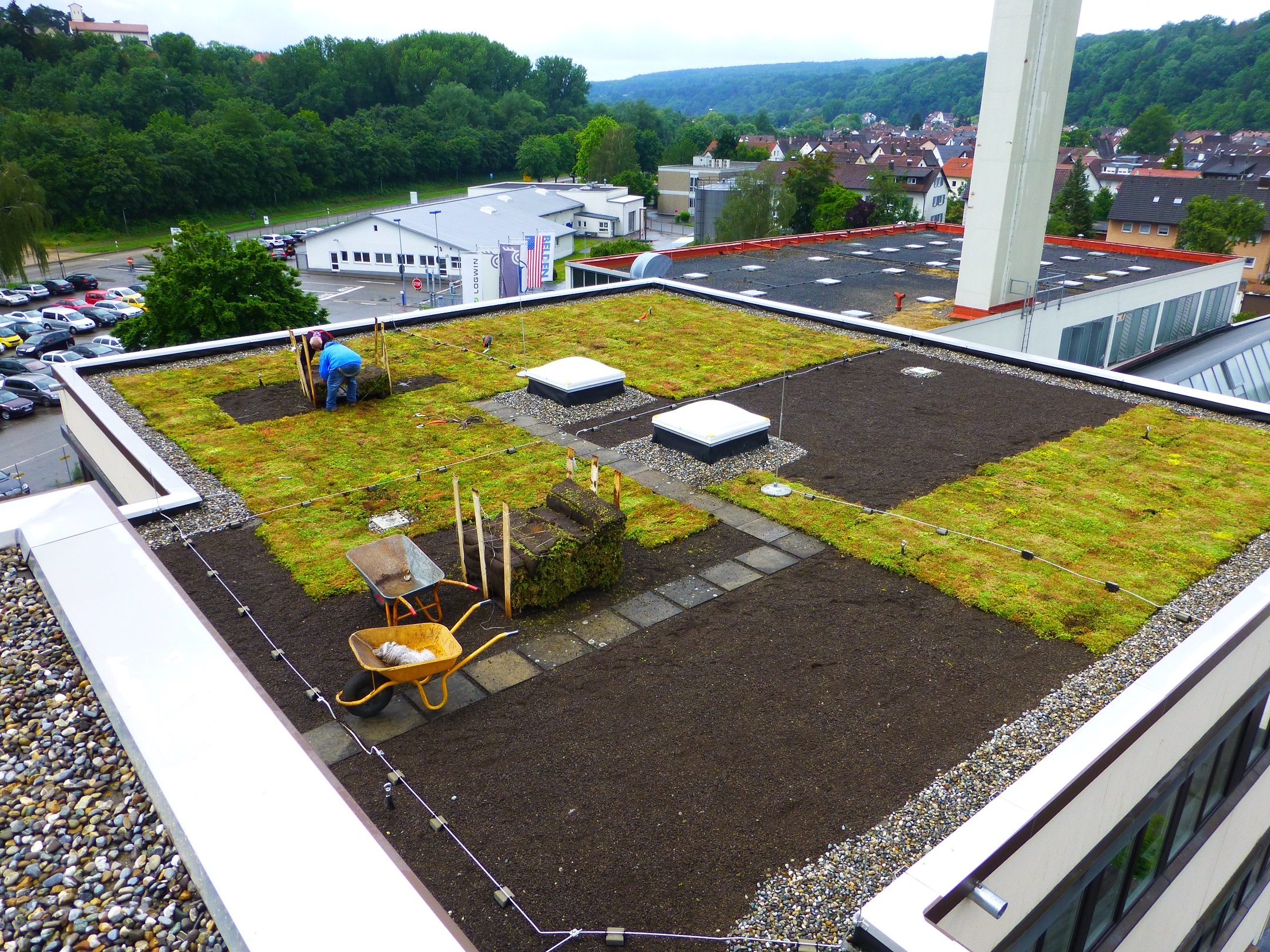 Sedum roof greening