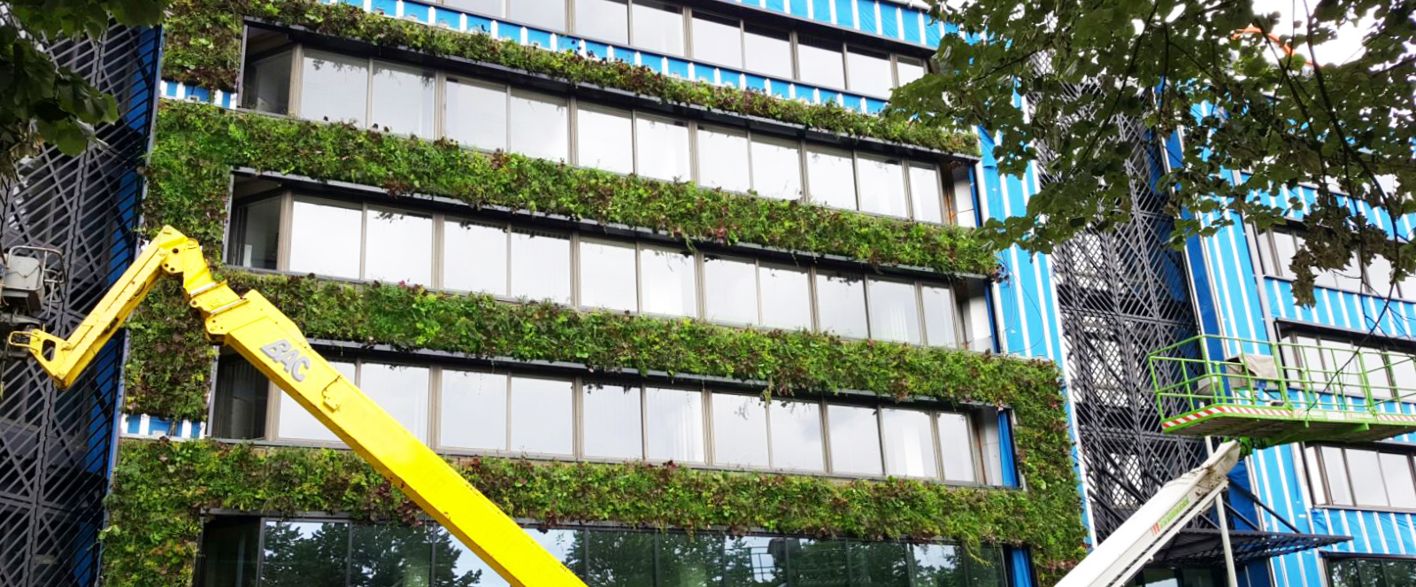 Installatie SemperGreenwall