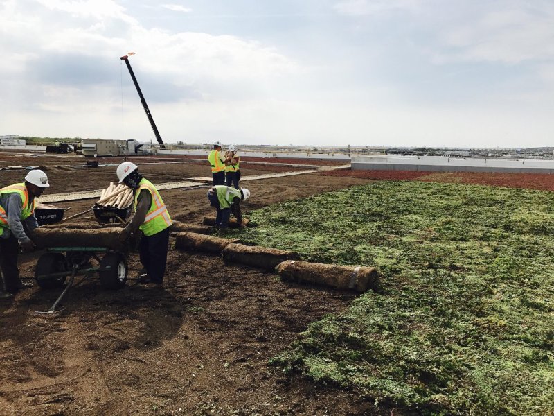 Installation of Green Roof