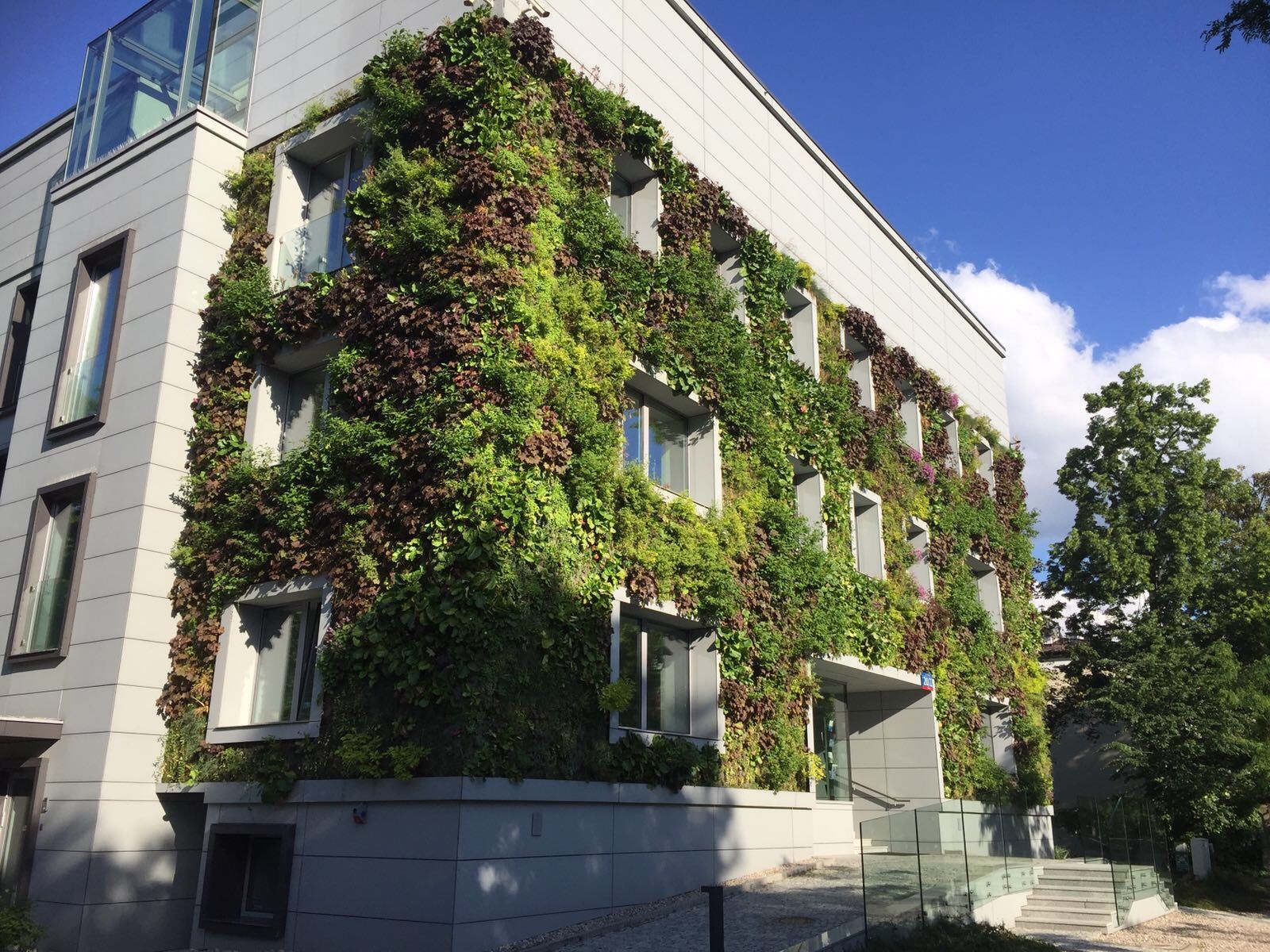 Outdoor SemperGreenwall Warsaw, Poland, June 2017 Outdoor SemperGreenwall Warsaw, Poland, June 2017