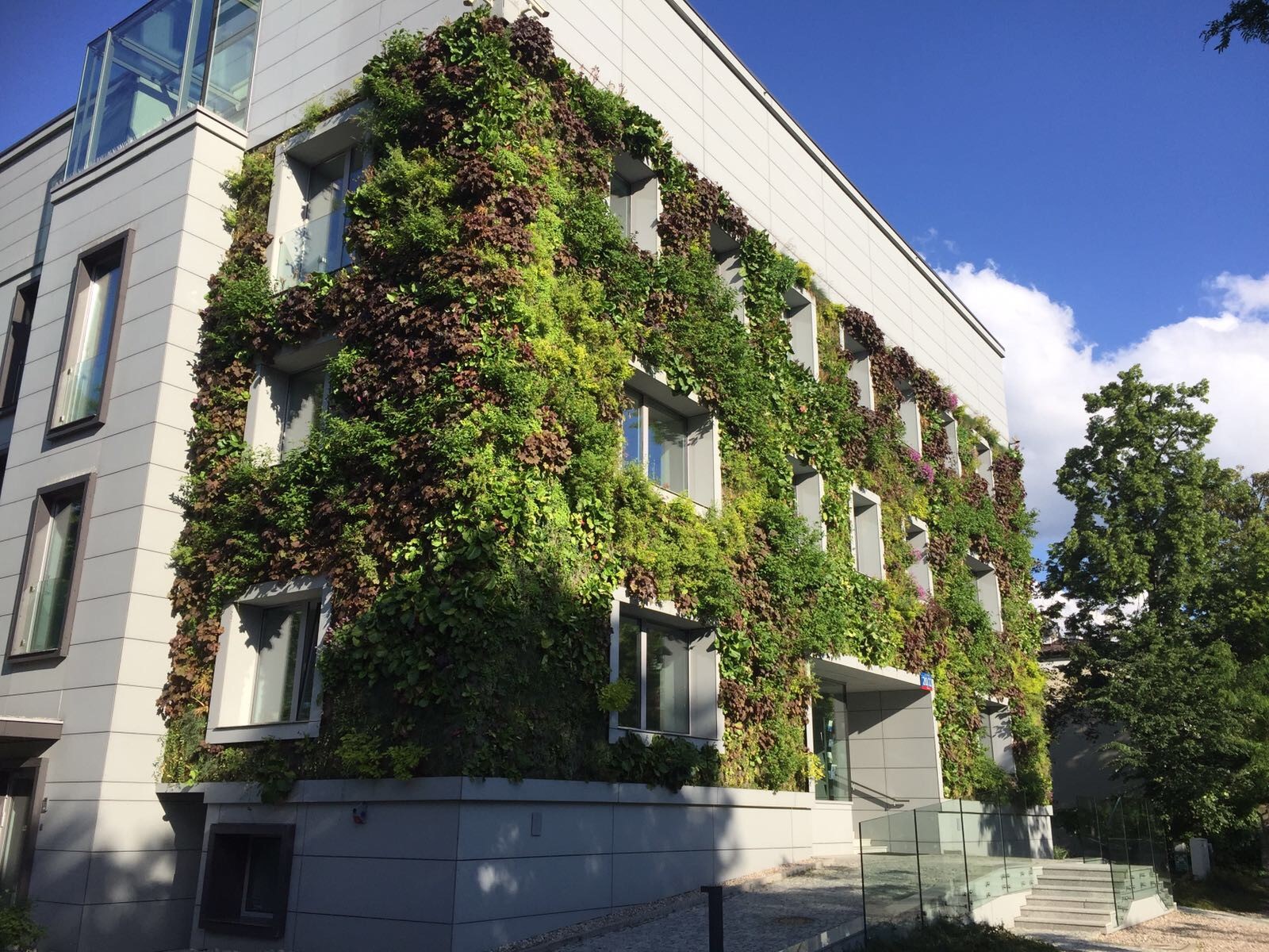 Outdoor SemperGreenwall Warsaw, Poland, June 2017