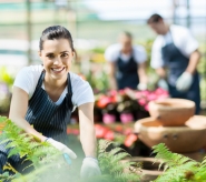 Garden centres