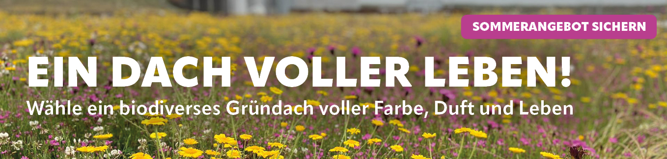 Rabatt auf Ihr Biodiversitätsdach