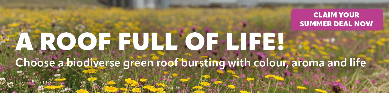 Biodiversity green roof